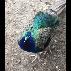 Meet your Posher, Natalia