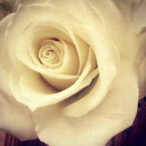 Meet your Posher, Dominique