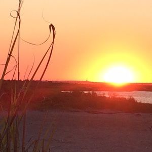 Meet your Posher, Summer