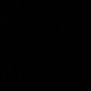 Meet your Posher, Bella