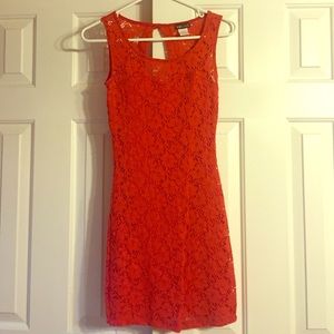 Bodycon lace dress