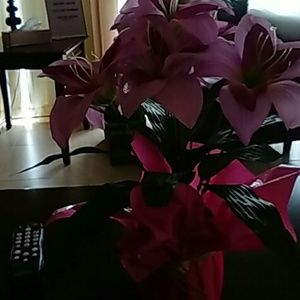 Meet your Posher, Angie