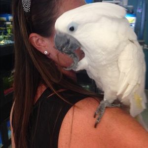 Meet your Posher, Tonya