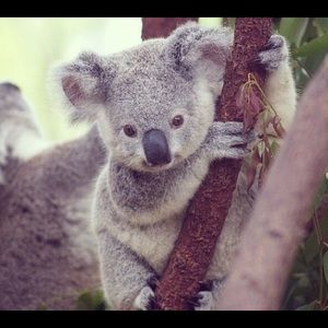 Meet your Posher, Silvia