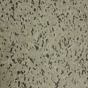 Meet your Posher, Raul