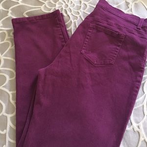 Gloria Vanderbilt pants