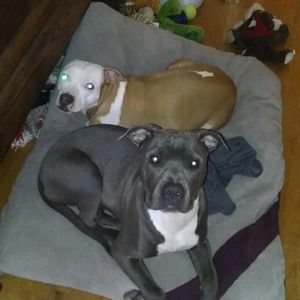 Meet your Posher, Anne marie