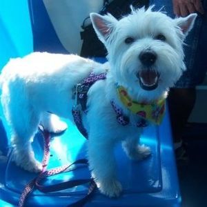 Meet your Posher, Megan