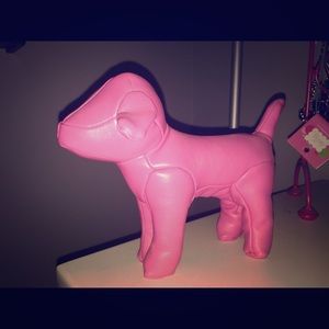 PINK Victoria's Secret billion dollar dog