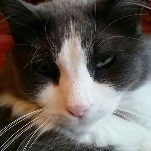 Meet your Posher, Mikkalyn