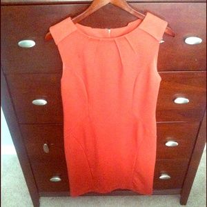 Burnt Orange Sheath Dress