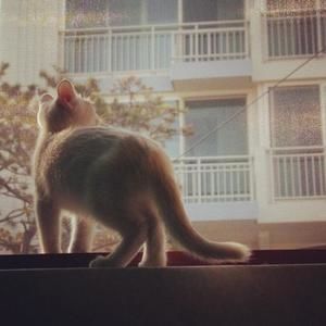 Meet your Posher, Blueblue