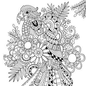 Meet your Posher, Kalan