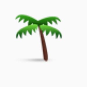 Meet your Posher, Kayleigh