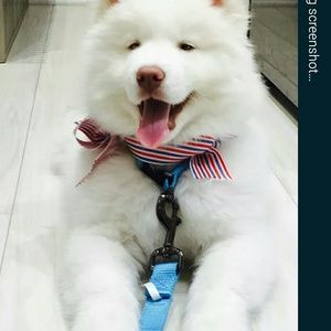 Meet your Posher, Alex