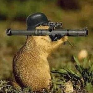 Meet your Posher, Jake