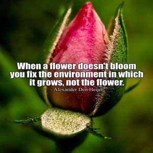 Meet your Posher, Krista