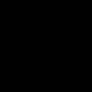 Meet your Posher, Sue