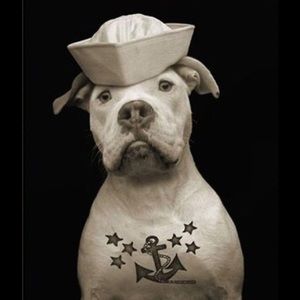 Meet your Posher, Theresa