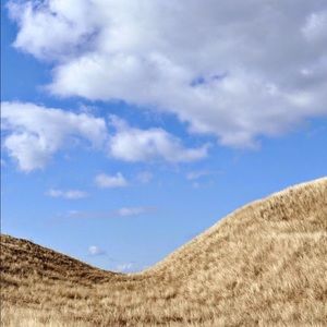 Meet your Posher, Josh