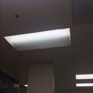 Meet your Posher, Hector