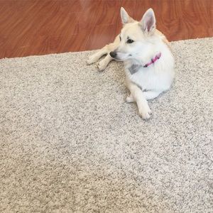 Meet your Posher, Esther