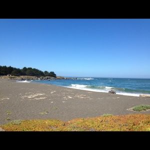 Meet your Posher, Lei