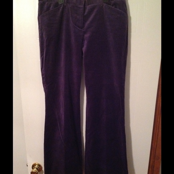 Dark purple Limited pants