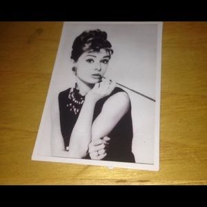 Meet your Posher, Owen