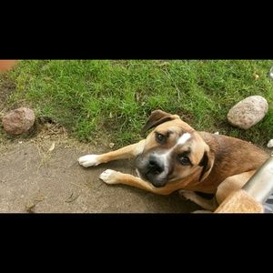 Meet your Posher, Jason