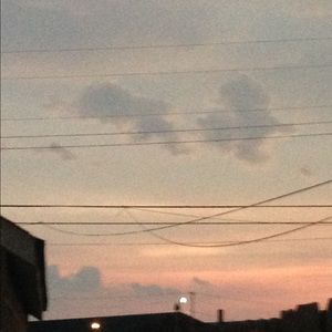 Meet your Posher, Casey