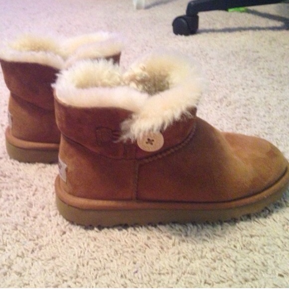 Short chestnut uggs!