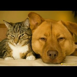 Meet your Posher, Vicky