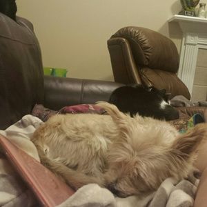 Meet your Posher, Meg