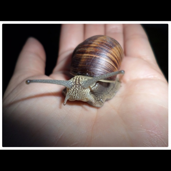 Meet your Posher, Iza