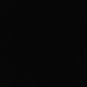 Meet your Posher, Anne