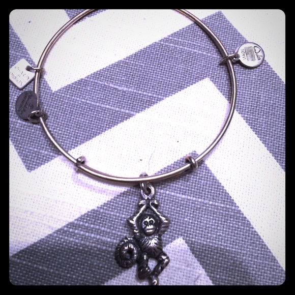 Used Alex and Ani Monkey Bracelet