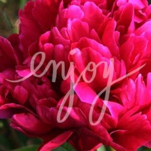 ❤️bundle for kaitlynhill