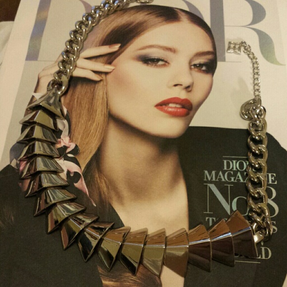 Bcbg fishbone necklace