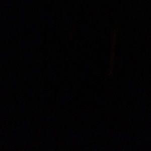 Meet your Posher, Myles