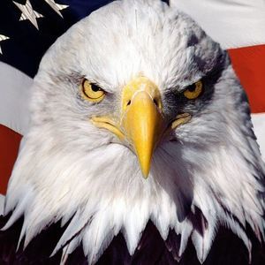 Meet your Posher, Doug