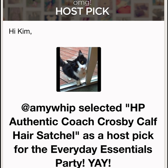 🎉2xHP🎊 Coach Crosby Calf Hair Satchel - Picture 4 of 4