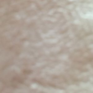 Meet your Posher, Lee ann