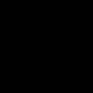 Meet your Posher, Whitney