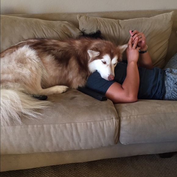 Meet your Posher, Stephanie - Picture 2 of 4