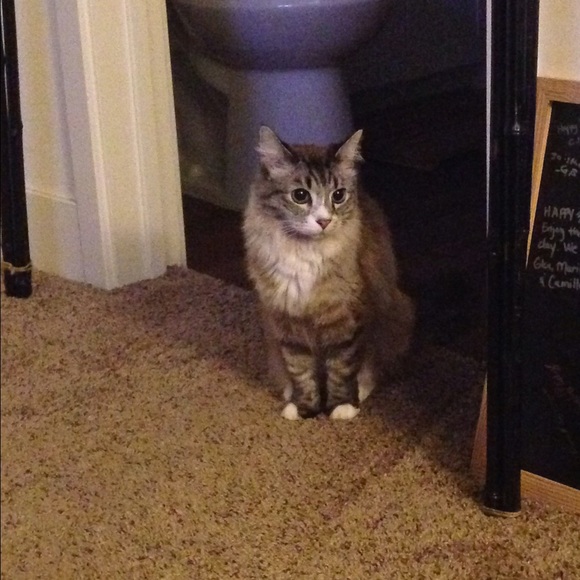 Meet your Posher, Stephanie - Picture 3 of 4