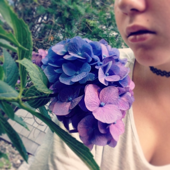 Meet your Posher, Autumn