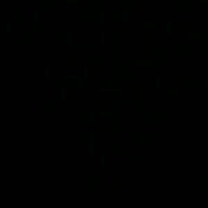 Meet your Posher, Colleen