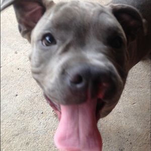 Meet your Posher, Angie