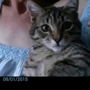 Meet your Posher, Vicki